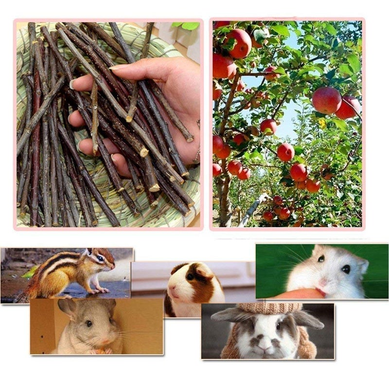 William Craft Apple Sticks Pet Chew Toy Treats for Chinchilla Guinea Pigs Rabbits Squirrel Hamster Bunny - Image 3